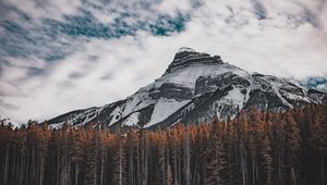 Preview wallpaper mountain, bottom view, trees, sky