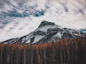 Preview wallpaper mountain, bottom view, trees, sky