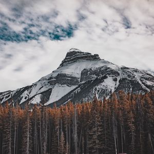 Preview wallpaper mountain, bottom view, trees, sky