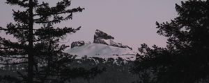 Preview wallpaper mountain, branches, snow, peak, sunset