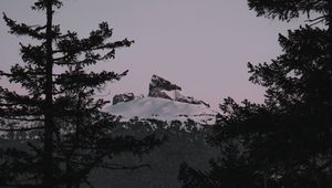 Preview wallpaper mountain, branches, snow, peak, sunset