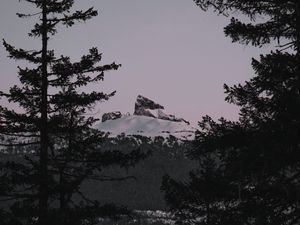 Preview wallpaper mountain, branches, snow, peak, sunset