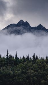 Preview wallpaper mountain, clouds, fog, trees, landscape