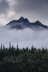 Preview wallpaper mountain, clouds, fog, trees, landscape