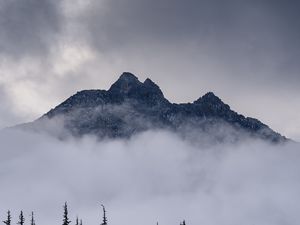 Preview wallpaper mountain, clouds, fog, trees, landscape