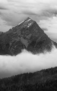 Preview wallpaper mountain, clouds, trees, forest, black and white