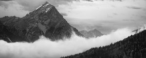 Preview wallpaper mountain, clouds, trees, forest, black and white
