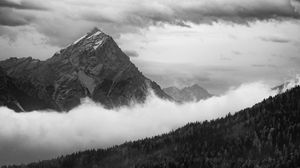 Preview wallpaper mountain, clouds, trees, forest, black and white