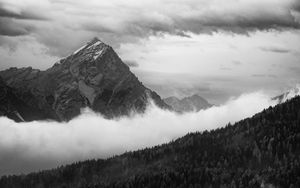 Preview wallpaper mountain, clouds, trees, forest, black and white