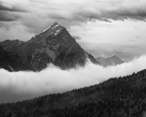 Preview wallpaper mountain, clouds, trees, forest, black and white