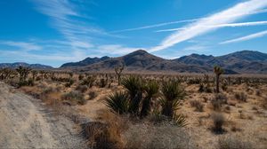 Preview wallpaper mountain, desert, bushes, leaves