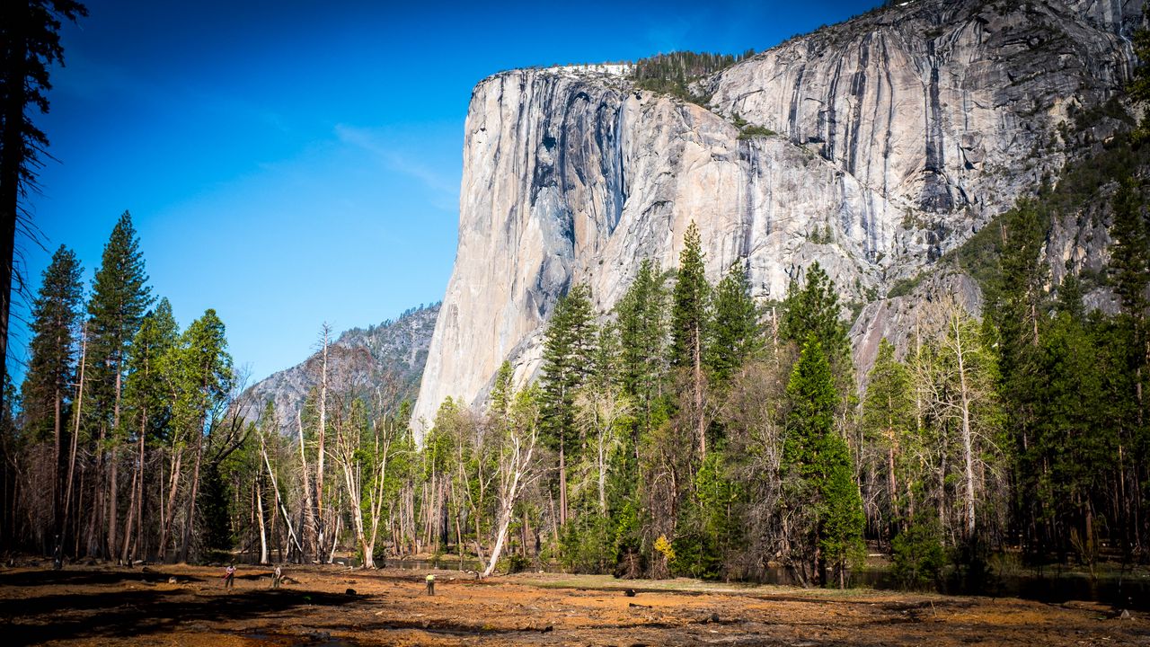 Wallpaper mountain, field, trees, nature, sun