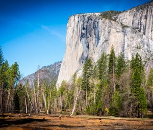 Preview wallpaper mountain, field, trees, nature, sun