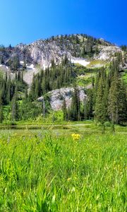 Preview wallpaper mountain, field, trees, landscape