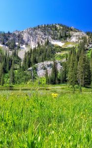 Preview wallpaper mountain, field, trees, landscape