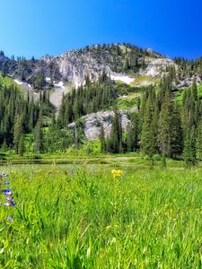 Preview wallpaper mountain, field, trees, landscape