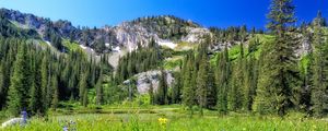 Preview wallpaper mountain, field, trees, landscape