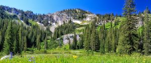 Preview wallpaper mountain, field, trees, landscape