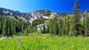 Preview wallpaper mountain, field, trees, landscape