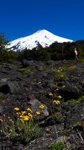Preview wallpaper mountain, flowers, stones, landscape