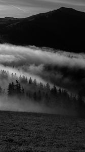 Preview wallpaper mountain, fog, bw, trees, hills