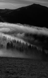 Preview wallpaper mountain, fog, bw, trees, hills