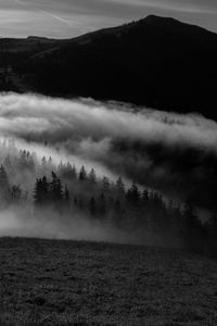 Preview wallpaper mountain, fog, bw, trees, hills