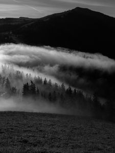 Preview wallpaper mountain, fog, bw, trees, hills