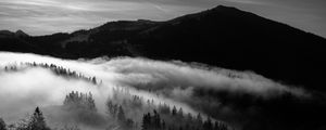 Preview wallpaper mountain, fog, bw, trees, hills