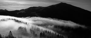 Preview wallpaper mountain, fog, bw, trees, hills