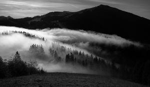 Preview wallpaper mountain, fog, bw, trees, hills