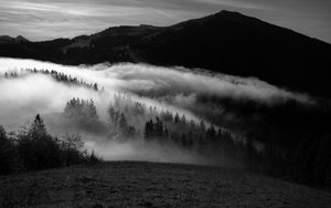 Preview wallpaper mountain, fog, bw, trees, hills