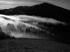 Preview wallpaper mountain, fog, bw, trees, hills