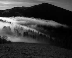 Preview wallpaper mountain, fog, bw, trees, hills