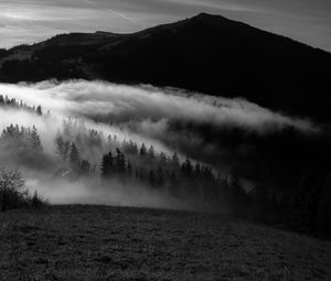 Preview wallpaper mountain, fog, bw, trees, hills