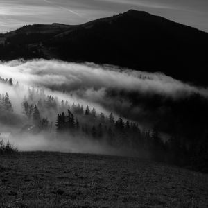 Preview wallpaper mountain, fog, bw, trees, hills