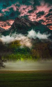 Preview wallpaper mountain, fog, clouds, forest, trees, grass