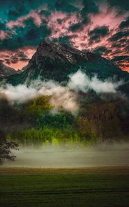 Preview wallpaper mountain, fog, clouds, forest, trees, grass