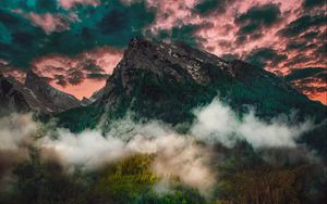 Preview wallpaper mountain, fog, clouds, forest, trees, grass