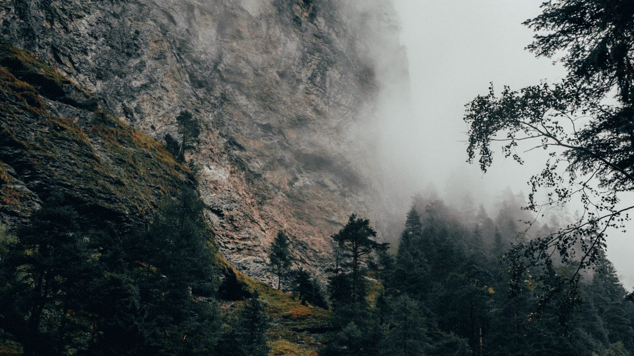 Wallpaper mountain, fog, trees, slope, switzerland