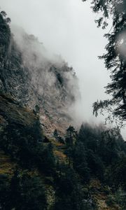 Preview wallpaper mountain, fog, trees, slope, switzerland