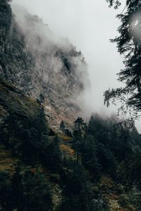 Preview wallpaper mountain, fog, trees, slope, switzerland