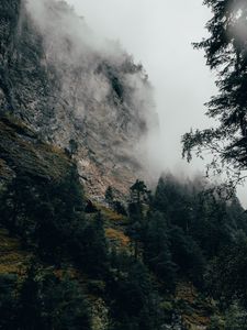 Preview wallpaper mountain, fog, trees, slope, switzerland