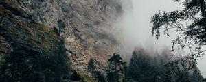 Preview wallpaper mountain, fog, trees, slope, switzerland