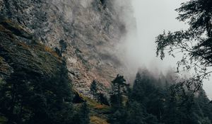 Preview wallpaper mountain, fog, trees, slope, switzerland