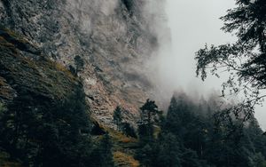 Preview wallpaper mountain, fog, trees, slope, switzerland