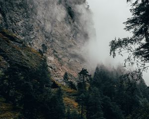 Preview wallpaper mountain, fog, trees, slope, switzerland