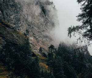 Preview wallpaper mountain, fog, trees, slope, switzerland