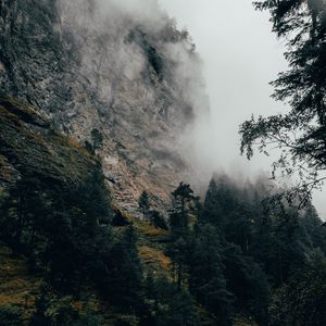 Preview wallpaper mountain, fog, trees, slope, switzerland