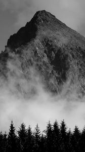 Preview wallpaper mountain, fog, trees, black and white